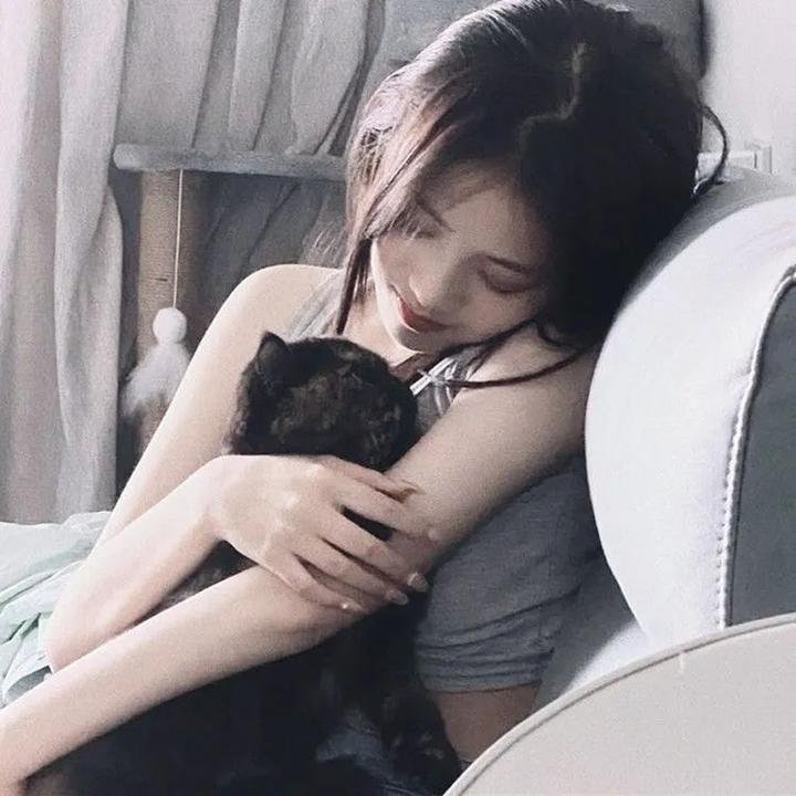 猛龙过江